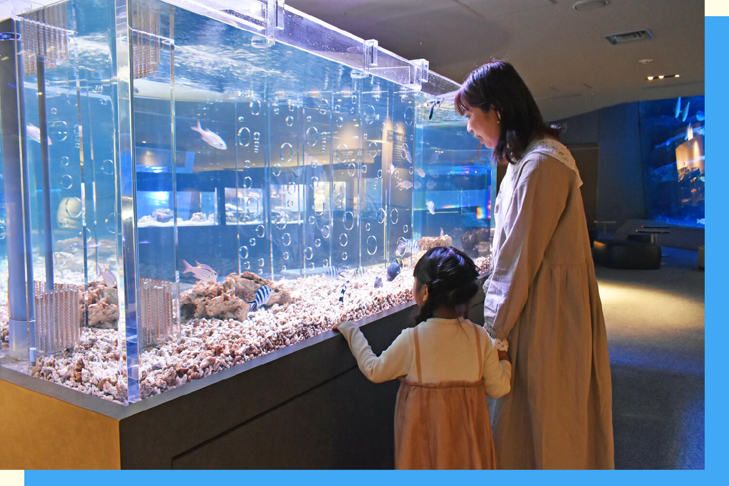 すみだ水族館