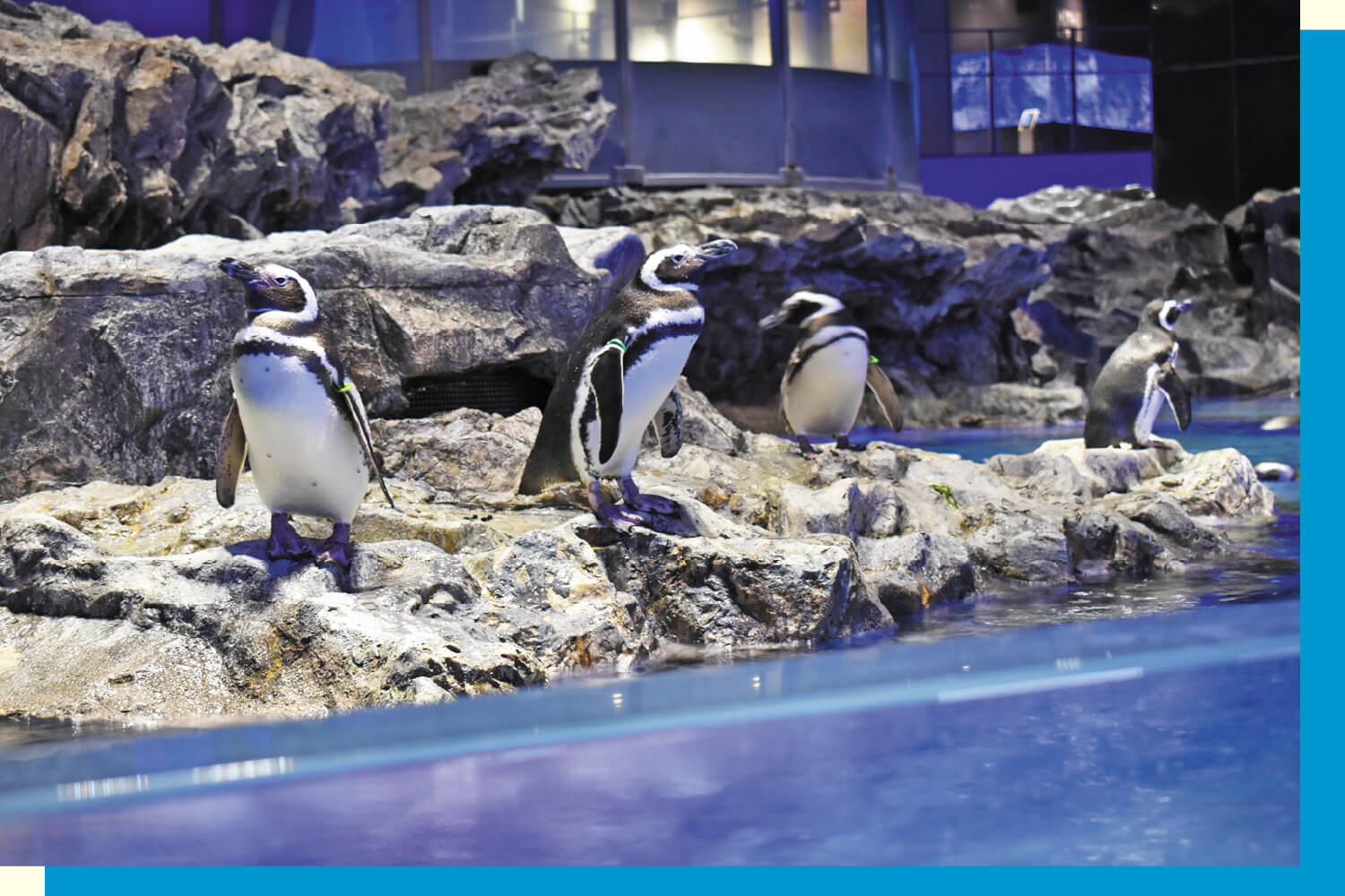 すみだ水族館